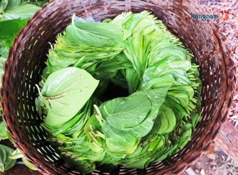 Đây là cách làm hồng vùng kín an toàn - Hình 9 Day la cach lam hong vung kin an toan-Hinh-9