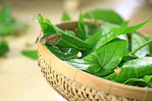 Đây là cách làm hồng vùng kín an toàn - Hình 8 Day la cach lam hong vung kin an toan-Hinh-8