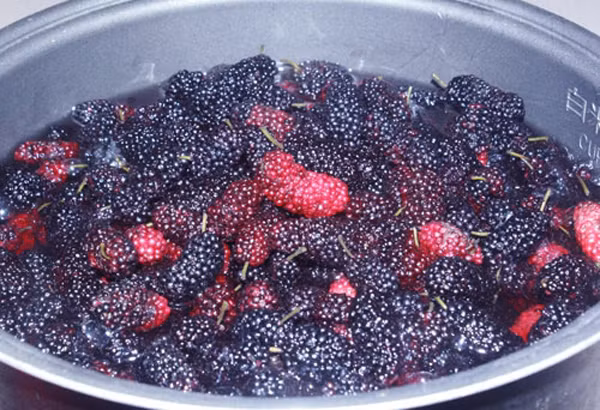 Cach rua dau tam de tranh trung con trung vao nguoi-Hinh-5