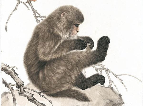 3 con giáp Thần Tài ghé thăm trong nửa đầu tháng 4/2023, tiền vào như nước - Hình 5 3 con giap Than Tai ghe tham trong nua dau thang 4/2023, tien vao nhu nuoc-Hinh-5