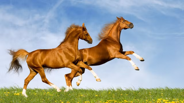 Tu vi ngay 11/3/2021 cho 12 con giap: Ty tien bac tang, Thin thang chuc-Hinh-7