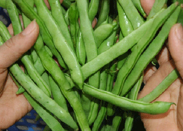 Những thực phẩm trị nốt sần ở ngực, ngừa ung thư hiệu quả - Hình 7 Nhung thuc pham tri not san o nguc, ngua ung thu hieu qua-Hinh-7