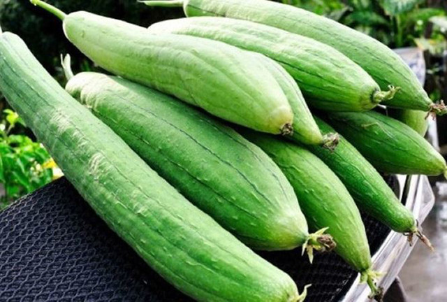 Những thực phẩm trị nốt sần ở ngực, ngừa ung thư hiệu quả - Hình 3 Nhung thuc pham tri not san o nguc, ngua ung thu hieu qua-Hinh-3