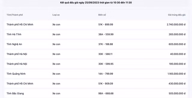 Cuoc dua dau gia bien so o to bat dau ha nhiet-Hinh-2