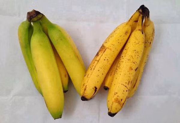 Can trong loai trai cay cang an cang khien co the suy kiet-Hinh-6