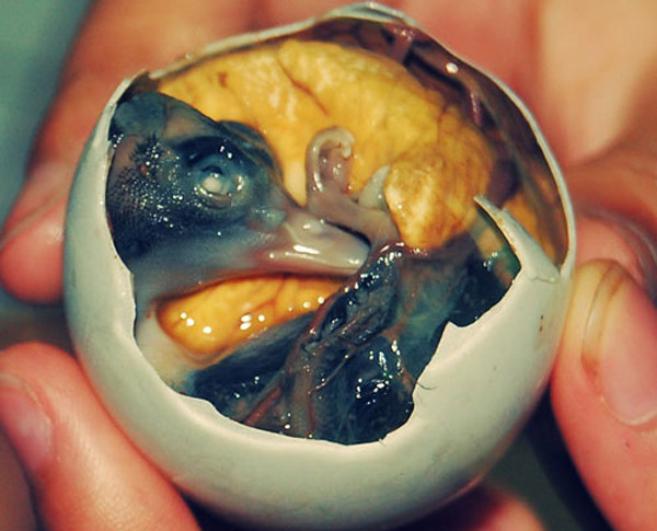 Những món trứng "ác mộng" với du khách nước ngoài Nhung mon trung