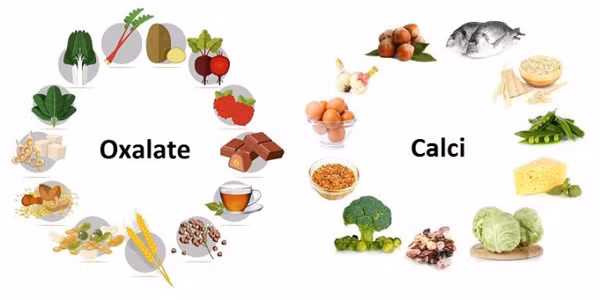 Dau nhuc that lung thoi gian dai, co gai phat hien mac soi than-Hinh-8