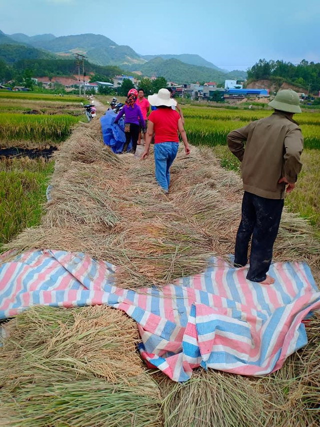 Clip nữ tài xế lái xe cán qua lúa phơi trên đường gây tranh cãi - Hình 2 Clip nu tai xe lai xe can qua lua phoi tren duong gay tranh cai-Hinh-2