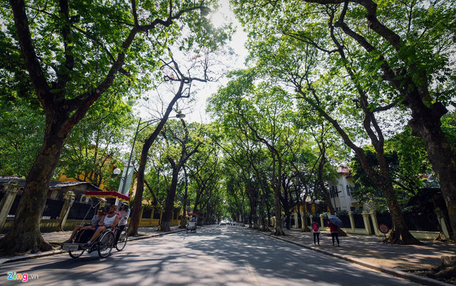 Mướt mát những con phố mát mẻ giữa nắng nóng 40 độ C Hà Nội - Hình 3 Muot mat nhung con pho mat me giua nang nong 40 do C Ha Noi-Hinh-3