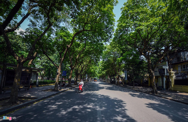 Mướt mát những con phố mát mẻ giữa nắng nóng 40 độ C Hà Nội - Hình 2 Muot mat nhung con pho mat me giua nang nong 40 do C Ha Noi-Hinh-2