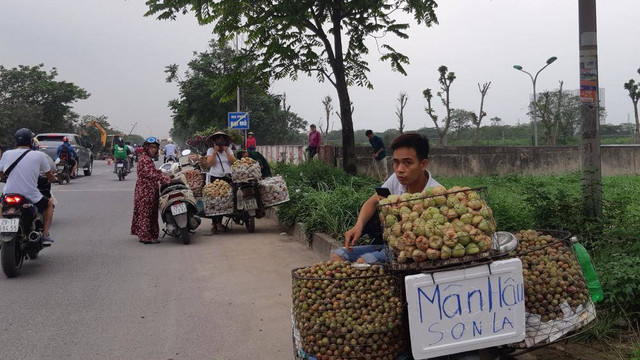 Ngán ngẩm cảnh hàng rong mọc như nấm trên đại lộ Thăng Long - Hình 4 Ngan ngam canh hang rong moc nhu nam tren dai lo Thang Long-Hinh-4