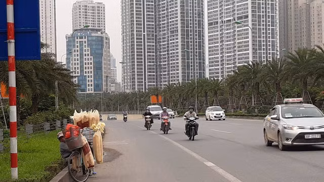 Ngan ngam canh hang rong moc nhu nam tren dai lo Thang Long-Hinh-2