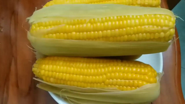 Cách bảo quản ngô dù để lâu ngày vẫn tươi ngọt như mới - Hình 4 Cach bao quan ngo du de lau ngay van tuoi ngot nhu moi-Hinh-4
