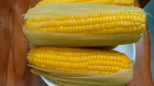 Cach bao quan ngo du de lau ngay van tuoi ngot nhu moi-Hinh-4