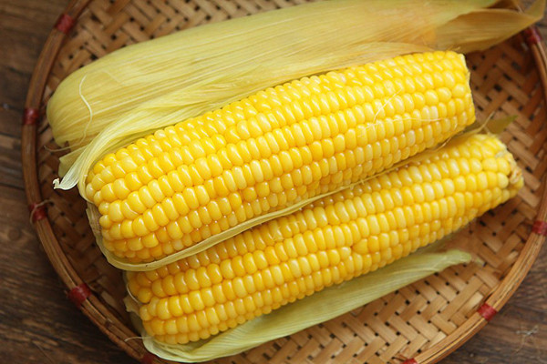 Cách bảo quản ngô dù để lâu ngày vẫn tươi ngọt như mới - Hình 5 Cach bao quan ngo du de lau ngay van tuoi ngot nhu moi-Hinh-5