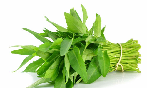 Giật mình 5 loại rau dễ “ngậm” thuốc sâu, rửa bằng nước khó sạch Giat minh 5 loai rau de “ngam” thuoc sau, rua bang nuoc kho sach