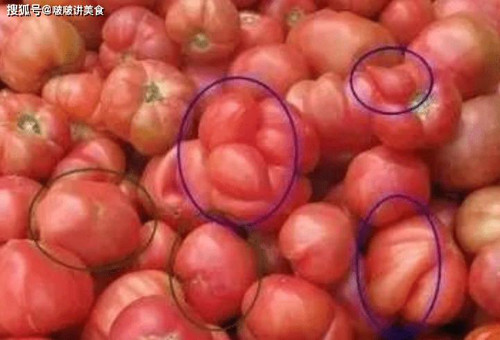 Giật mình 5 loại rau dễ “ngậm” thuốc sâu, rửa bằng nước khó sạch - Hình 11 Giat minh 5 loai rau de “ngam” thuoc sau, rua bang nuoc kho sach-Hinh-11