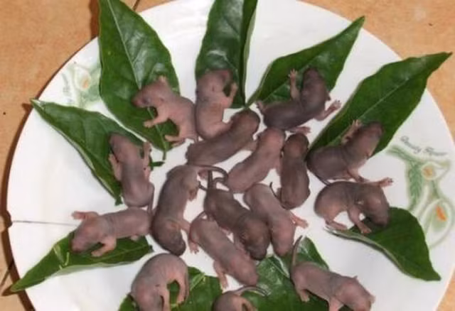 Mon an dai bo giup quy ong chan goi cuc sung