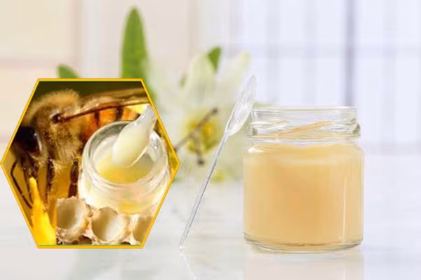 Cong dung than ky tu sua ong chua-Hinh-5