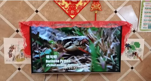 Coi chừng tai họa ập tới nếu nón đồ này đặt cạnh tivi - Hình 2 Coi chung tai hoa ap toi neu non do nay dat canh tivi-Hinh-2