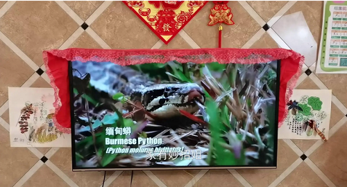 Coi chừng tai họa ập tới nếu nón đồ này đặt cạnh tivi - Hình 2 Coi chung tai hoa ap toi neu non do nay dat canh tivi-Hinh-2