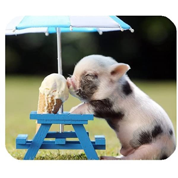 Tử vi tuần 24/5/2021 đến 30/5/2021 cho 12 con giáp: Hợi đắt hàng, Mùi bị xui - Hình 12 Tu vi tuan 24/5/2021 den 30/5/2021 cho 12 con giap: Hoi dat hang, Mui bi xui-Hinh-12