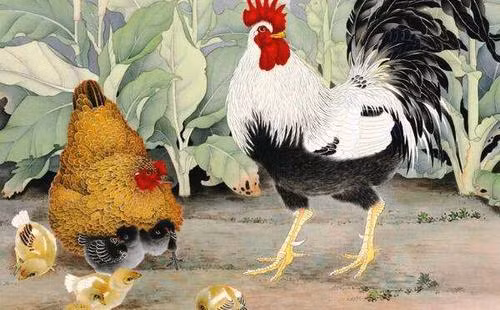 Tu vi ngay 26/5/2021 cho 12 con giap: Mui rung rinh, Tuat mat viec-Hinh-10