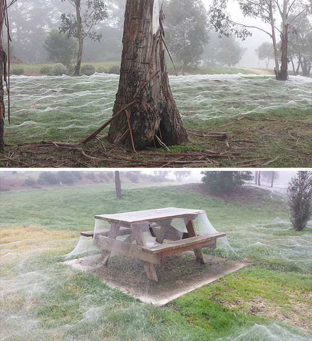 Khiếp sợ trước hình ảnh rùng rợn về thiên nhiên - Hình 3 Khiep so truoc hinh anh rung ron ve thien nhien-Hinh-3