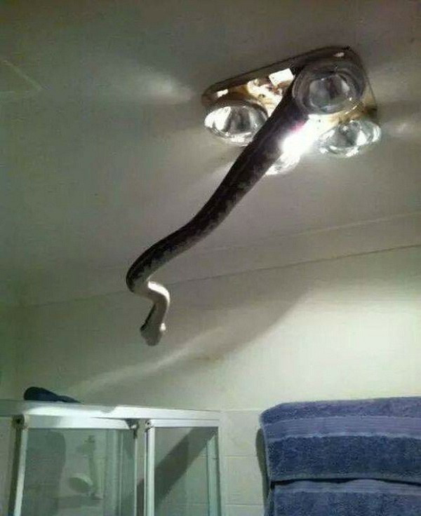 Khiếp sợ trước hình ảnh rùng rợn về thiên nhiên - Hình 8 Khiep so truoc hinh anh rung ron ve thien nhien-Hinh-8