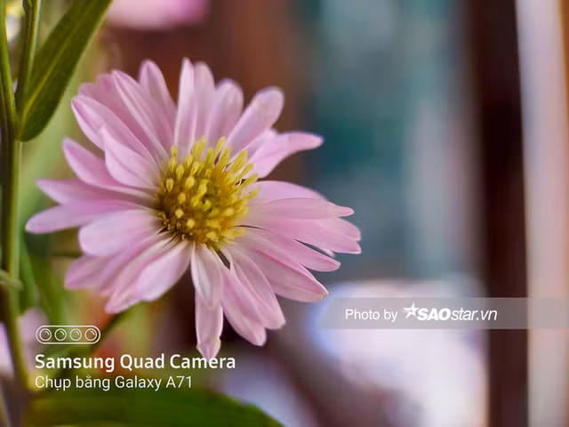 Meo chup anh macro 'dung chuan' don gian bang smartphone-Hinh-6