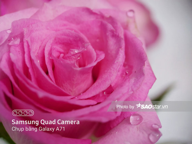 Mẹo chụp ảnh macro 'đúng chuẩn' đơn giản bằng smartphone - Hình 9 Meo chup anh macro 'dung chuan' don gian bang smartphone-Hinh-9