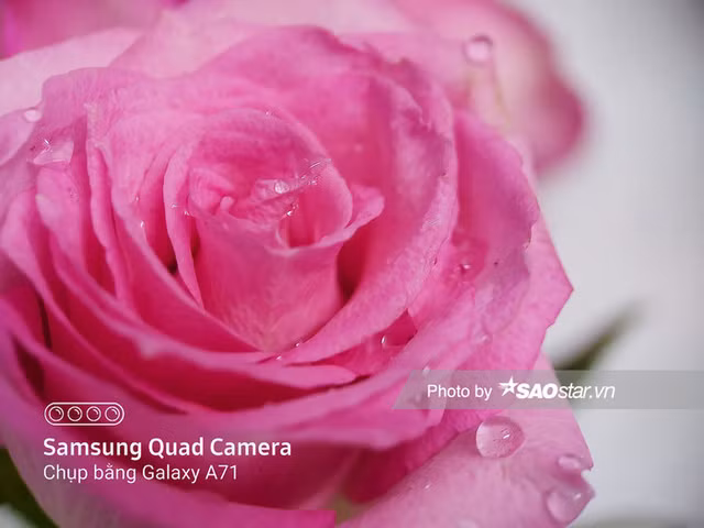 Meo chup anh macro 'dung chuan' don gian bang smartphone-Hinh-9