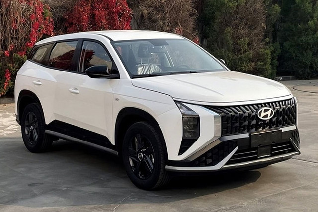 Hyundai Mufasa 2024 chi tu 470 trieu dong-Hinh-7