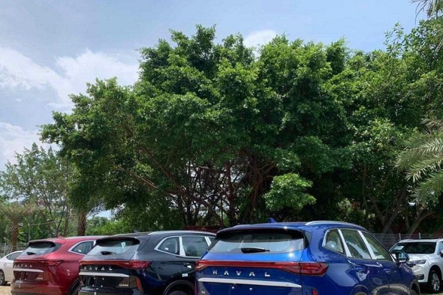 Haval H6 hybrid từ 700 triệu đồng đang về đại lý tại Việt Nam - Hình 4 Haval H6 hybrid tu 700 trieu dong dang ve dai ly tai Viet Nam-Hinh-4