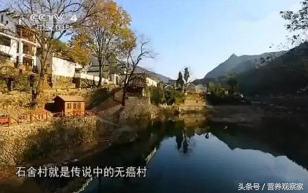 Làng không ung thư và tuổi thọ cao ở Trung Quốc nhờ loại cây này Lang khong ung thu va tuoi tho cao o Trung Quoc nho loai cay nay