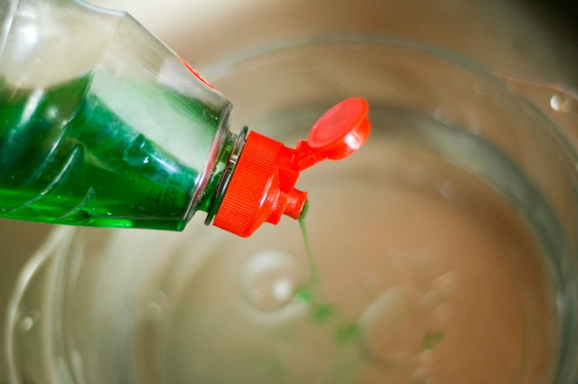 Dac biet luu y khi rua bat de khong gay hai cho co the