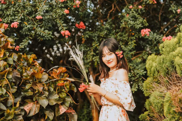 Can canh mua hoa tuong vi ruc ro khap Ha Noi-Hinh-17