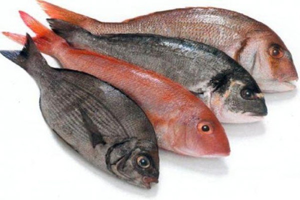5 loại cá dễ khiến bạn ủ bệnh, không nên ăn nhiều - Hình 5 5 loai ca de khien ban u benh, khong nen an nhieu-Hinh-5