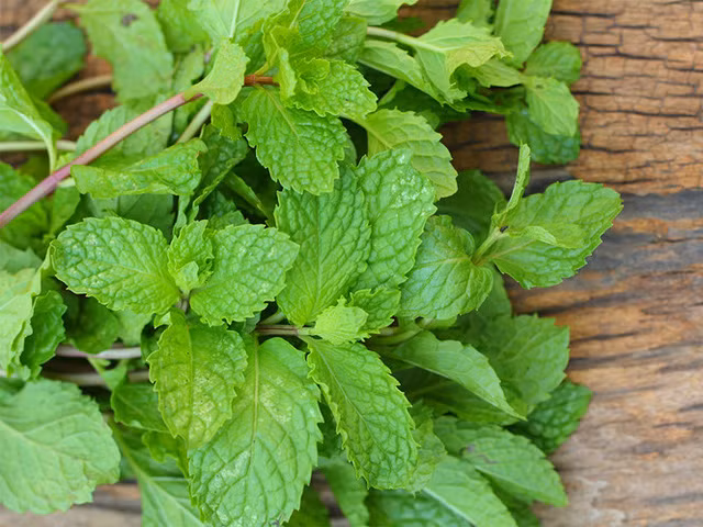 Bat ngo hieu qua lam dep tu nhung loai rau quen thuoc-Hinh-9