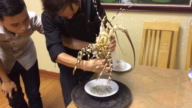 Kham pha mon tiet canh tom hum - dac san Vung Tau ngon nuc tieng-Hinh-8