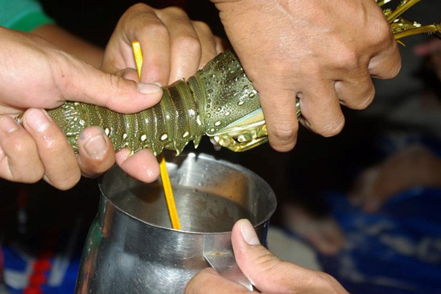 Khám phá món tiết canh tôm hùm - đặc sản Vũng Tàu ngon nức tiếng - Hình 6 Kham pha mon tiet canh tom hum - dac san Vung Tau ngon nuc tieng-Hinh-6