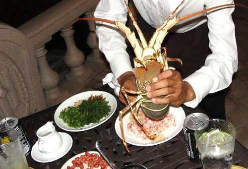 Khám phá món tiết canh tôm hùm - đặc sản Vũng Tàu ngon nức tiếng Kham pha mon tiet canh tom hum - dac san Vung Tau ngon nuc tieng