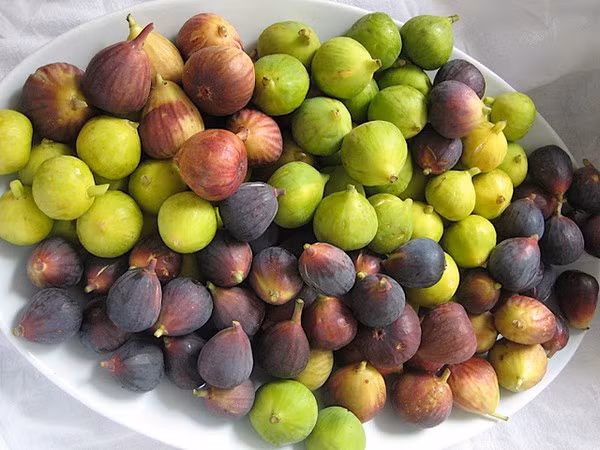 Loi ich bat ngo tu thu qua re tien, moc day trong vuon nha-Hinh-10