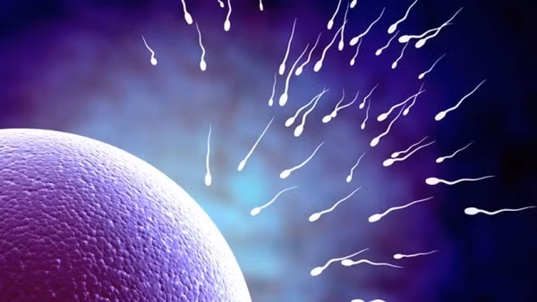 Thoi quen gay anh huong suc khoe sinh san cua nam gioi-Hinh-9