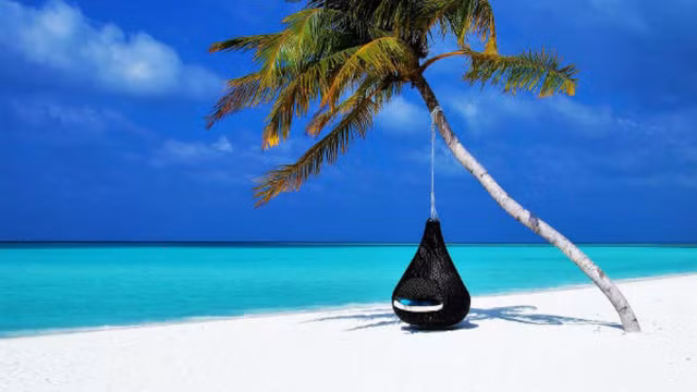 Muop dang co loi cho suc khoe, nhung an nhieu anh huong da day va xuong-Hinh-11