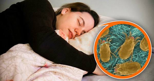 Cảnh báo mối nguy sức khỏe từ thói quen lành mạnh thái quá - Hình 9 Canh bao moi nguy suc khoe tu thoi quen lanh manh thai qua-Hinh-9