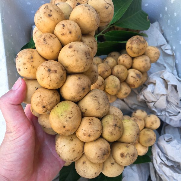 Bòn bon nhiều lợi ích thế này, bạn chớ dại bỏ qua... Bon bon nhieu loi ich the nay, ban cho dai bo qua...