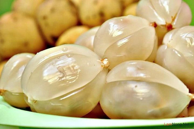 Bòn bon nhiều lợi ích thế này, bạn chớ dại bỏ qua... - Hình 5 Bon bon nhieu loi ich the nay, ban cho dai bo qua...-Hinh-5