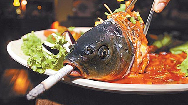 Mon an kinh di, doa day con vat “song do chet do” moi ung long-Hinh-10