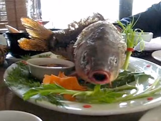 Mon an kinh di, doa day con vat “song do chet do” moi ung long-Hinh-6